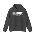 Be Holy Unisex Hoodie